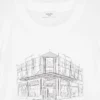 CottonWhisk™ Pedigree T-Shirt CottonWhisk™ Pedigree T-Shirt