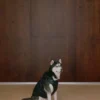 The Super Ruff Puff™ – Hi-Gloss The Super Ruff Puff™ – Hi-Gloss